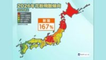 今年は前年比約1.7倍の『花粉飛散量』雨の翌日の26日は飛散量が増えそう　新潟県