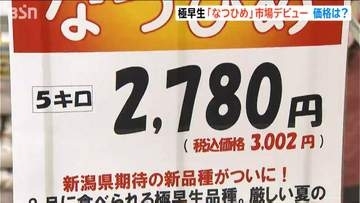新潟米のお姫さま「なつひめ」いよいよ販売開始！5キロ税抜き2780円 新潟・中央区の直売所