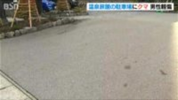 「ここまで来たのか…」と地元の人も驚き　新潟県湯沢町の温泉街にクマ　旅館の駐車場で男性襲われ軽傷