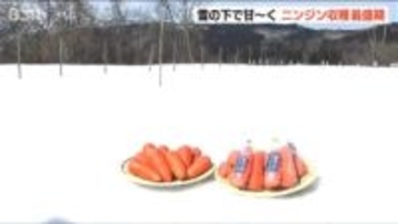「雪の下で越冬し甘みやうま味が凝縮」　『雪下にんじん』出荷最盛期　新潟・阿賀町