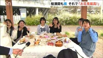 桜満開の新潟市もあいにくの雨…でも「お花見最高！」