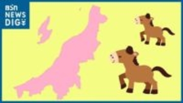 午年生まれは16万2400人 最多は昭和29年生まれ(72歳)　新潟県