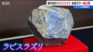 日本初採取 世界最古の宝石の一つ『ラピスラズリ』一般公開「糸魚川市の財産にしていきたい」