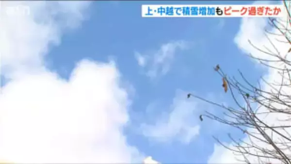 「毎朝 雪消ししないと駄目なので体中が痛い」大雪のピーク過ぎるも今後さらに50cmの予想降雪量　新潟県 中越の山沿い