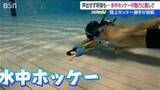「【水中ホッケー】1.5kgのパックを息を止めて奪い合う…？ 会話不能なプールの底で繰り広げられるバトルの魅力」の画像1