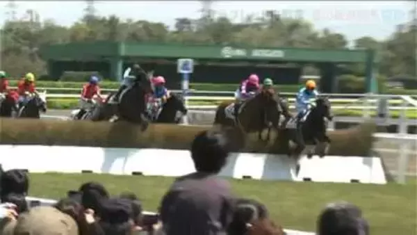 サラブレッドが駆ける春！新潟競馬春開催が開幕　家族連れで楽しめるイベントも