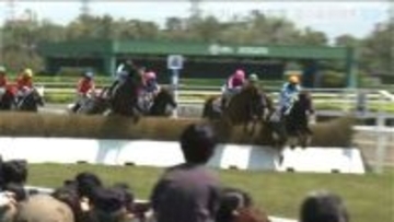 サラブレッドが駆ける春！新潟競馬春開催が開幕　家族連れで楽しめるイベントも