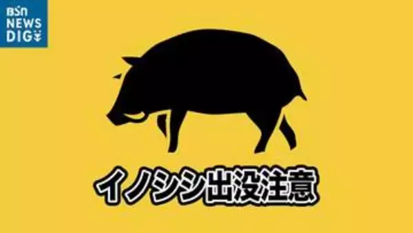 越路中学校近くで体長1mのイノシシ1頭の目撃情報　周辺では16日にもイノシシが…　新潟・長岡市
