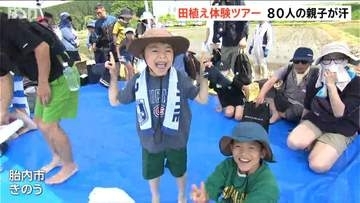 親子田植え体験ツアー　80人が汗かきながら “手植え” に挑戦　新潟・胎内市