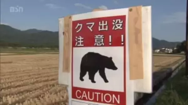 大晦日でもクマ　上信越道近くで目撃情報　新潟・上越市