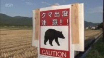 大晦日でもクマ　上信越道近くで目撃情報　新潟・上越市