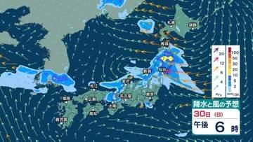 【 今後の雨 】30日は西日本～東日本で雷を伴った激しい雨　大雨となる所も　土砂災害や低地の浸水、河川の増水に注意・警戒【29日午後9時更新】