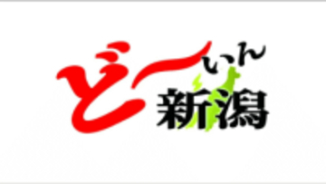 【どーいん新潟】柏崎市に放置の「4万本の廃タイヤ」　2億円かけて撤去したら何と地中にも…市単独の対応は限界に