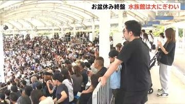 「人の多さにびっくり」お盆休みの水族館『マリンピア日本海』が大盛況　イルカショー満席で1日5回開催　新潟市