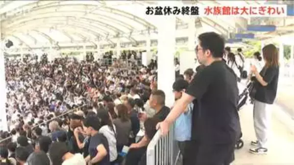 「人の多さにびっくり」お盆休みの水族館『マリンピア日本海』が大盛況　イルカショー満席で1日5回開催　新潟市