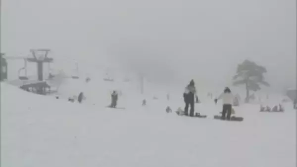 「インバウンドの集客」や「グリーンシーズンの利活用」に懸念残り事業者の選定白紙、再公募へ…国立公園大山のスキー場「これから10年のスキー場どうなっていくか」鳥取県大山町