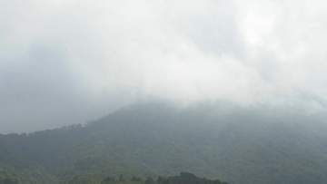 「眼鏡が木の枝に当たって割れ、顔を出血して視界が悪くなり下山できない」国立公園大山を登山中の70代男性が遭難、3日目も捜索活動続く　登山届未提出、電話に応答なく身元もわからず