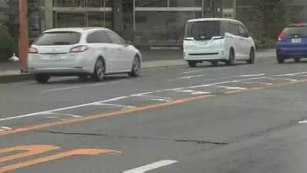 道路のシマシマ「ゼブラゾーン」走行すると交通違反？　警察に聞いてみると…　“中が空洞”のシマシマとの違いは？