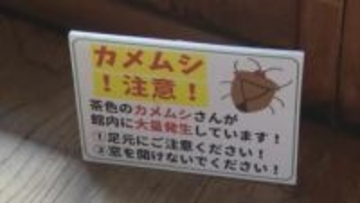 「カメムシの肩をつかんで、ポイって外に投げるんですけど…」調べ続けて25年"カメムシ博士”に聞いた…臭くさせない方法とは