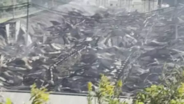 養豚場大規模火災　焼け跡から２人目の遺体が発見される　身元不明　従業員２人と連絡がつかない状況続く　鳥取県南部町