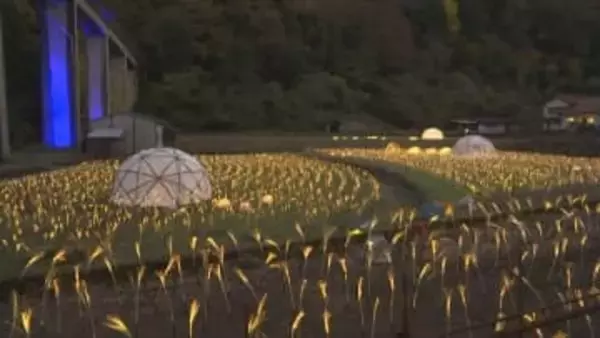 廃線となった三江線　「天空の駅」照らすINAKAイルミ　大学生ボランティアや移住者にも支えられ１６回目の開催　島根県邑南町