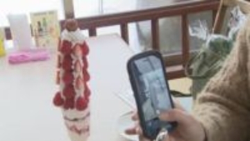 高さ30センチ、紅ほっぺ24個使用「イチゴツリーパフェ」がSNSで人気に…町をイチゴの産地に