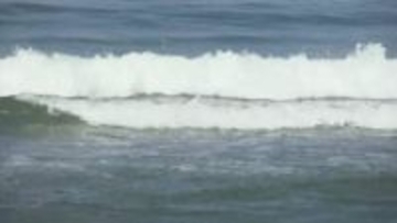 男子中学生が海に転落、友人は近くの大人にとっさに助けを求めた…「つかむなよ」「わかりました」　中学生の命を助けた“ある判断”とは？