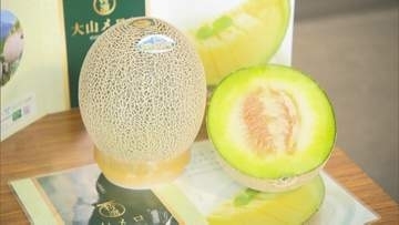 糖度は…16.5度！　「大山メロン」目合わせ会
