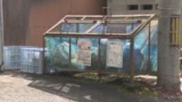 「クマに襲われた。顔と手の甲から出血している」ゴミ出しの途中、突然、男性がクマに襲われる　左目の下や右手の甲を爪で引っかかれて出血