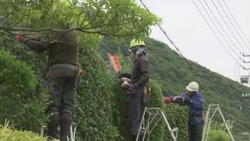 深刻な担い手不足…“造園業”に携わる若手造園技能者に、ベテランが熟練の技伝授