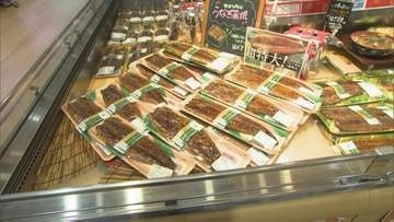 今年は「うなぎ」が安い　土用の丑の日を前に商戦本格化