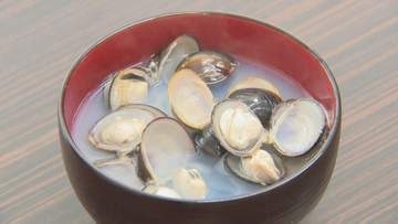 東京の人はシジミ汁のシジミの身を食べない？　あなたはどっち派？　「身を食べないということは我々漁師から言うと信じられない」宍道湖産のヤマトシジミは身の大きさが違う　島根県松江市