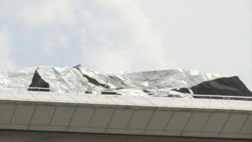 強風で4人が転倒し軽症　倒木や建物への被害なども相次ぐ　鳥取県「引き続き被害状況の把握に努める」　倒木の撤去や農家への支援検討も