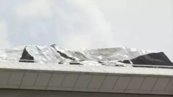 強風で4人が転倒し軽症　倒木や建物への被害なども相次ぐ　鳥取県「引き続き被害状況の把握に努める」　倒木の撤去や農家への支援検討も