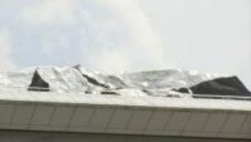 強風で4人が転倒し軽症　倒木や建物への被害なども相次ぐ　鳥取県「引き続き被害状況の把握に努める」　倒木の撤去や農家への支援検討も