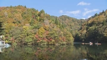 【紅葉情報】水面にも自然が織りなす美しい景色…渓谷の木立を縫うように分け入る三滝ダム　鳥取県智頭町