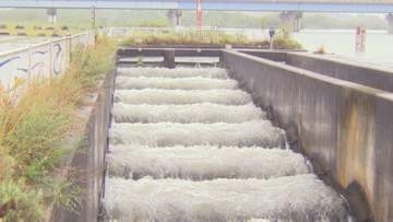 ８月末までの取水制限は「初」久しぶりの恵みの雨も水不足解消は…「水がいるところをみながらの判断になる」鳥取県・日野川