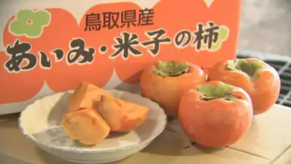 柿の種を飛ばしてハワイへ！「富有柿の里」が直面する壁…後継者は4分の1に「いつまでも富有柿ばかりつくっているわけじゃないので」