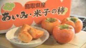 柿の種を飛ばしてハワイへ！「富有柿の里」が直面する壁…後継者は4分の1に「いつまでも富有柿ばかりつくっているわけじゃないので」