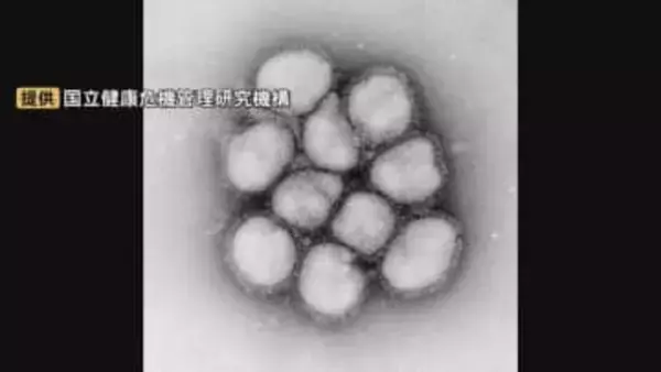 再び流行「インフルエンザ」次はB型「微熱程度で最初受診されて、検査陰性」特徴は「二峰性の方も一定数いる」一度熱が下がったと思っても、再び…