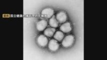 再び流行「インフルエンザ」次はB型「微熱程度で最初受診されて、検査陰性」特徴は「二峰性の方も一定数いる」一度熱が下がったと思っても、再び…
