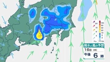 【関東甲信】16日は雷を伴う激しい雨の所も…警報級の大雨となる可能性　1時間ごとの雨風シミュレーション・発雷確率シミュレーション【気象庁16日発表】東京・神奈川・千葉・埼玉・茨城・栃木・群馬・山梨・長野