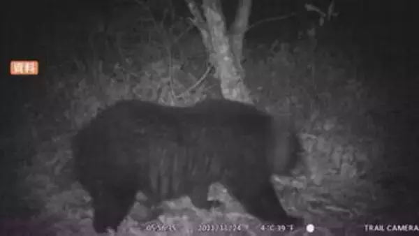 ツキノワグマが果樹園の梨200個を食い荒らす被害発生　周辺にはクマのものと思われるフンも…24日～29日までに同じ町内でクマによる食害を4件確認