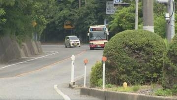 鳥取砂丘近くで道路を横切るクマの姿…市職員が体長約70センチのツキノワグマを目撃…4月以降、目撃情報は去年の3倍