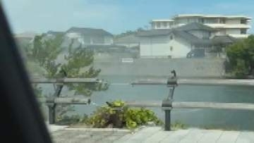 「つむじ風」発生か　島根県松江市で男性が撮影 「よく晴れた日、周囲の風が弱いことも条件」