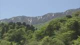 「ケガはないけど「筋肉痛で足が痛い」…国立公園大山山系で単独登山していた60代男性が道に迷い110番通報　県の防災ヘリで救助　登山届提出なし」の画像1
