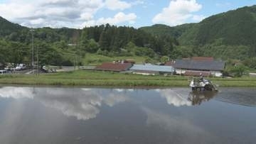 大阪の農家が島根でコメ作り…大阪が「田植え」島根が「水の管理」きっかけは…大阪と島根の「稲作のずれ」自腹で往復600キロを通うワケとは