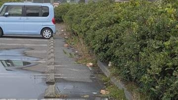 【謎事案】国立公園・大山の道路脇に食パン大量投棄…それより約半月前から、鳥取市内の道の駅駐車場で大きな食パン・鶏肉投棄が発生していた「50～60センチ間隔で食パンが置かれていて、その間に生の鶏肉が…」関連は不明　誰がなぜ？