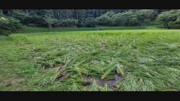 サルに襲われ登校中の中学生ケガ　約30匹サル大群が各地で出没　サルの群れが収穫直前のイネ踏み荒らす被害も…農家悲鳴　サル集団はどこからやって来る？