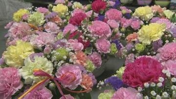 「母の日」目前…生花店が苦境のワケ　「お花は長いことあげていない」深刻な“花離れ”に“中東情勢”が追い打ち　仕入れ値3～4割アップ